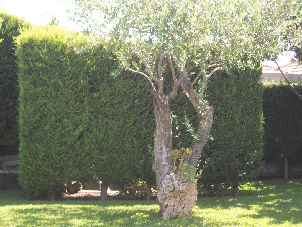 Bed and Breakfast Etma Sant'Alfio Екстер'єр фото